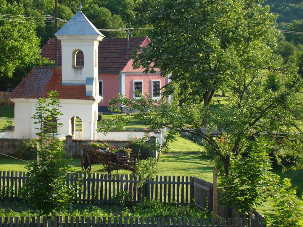 Pensjonat Country House Tunjina Kuca Stara Kapela Pavlovci Pokój zdjęcie