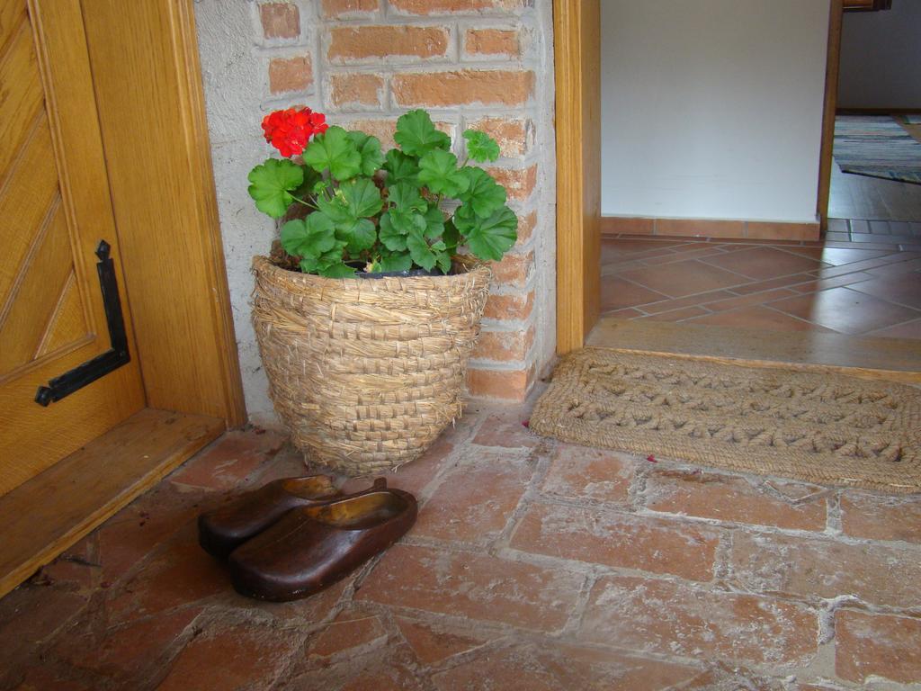 Pensjonat Country House Tunjina Kuca Stara Kapela Pavlovci Zewnętrze zdjęcie
