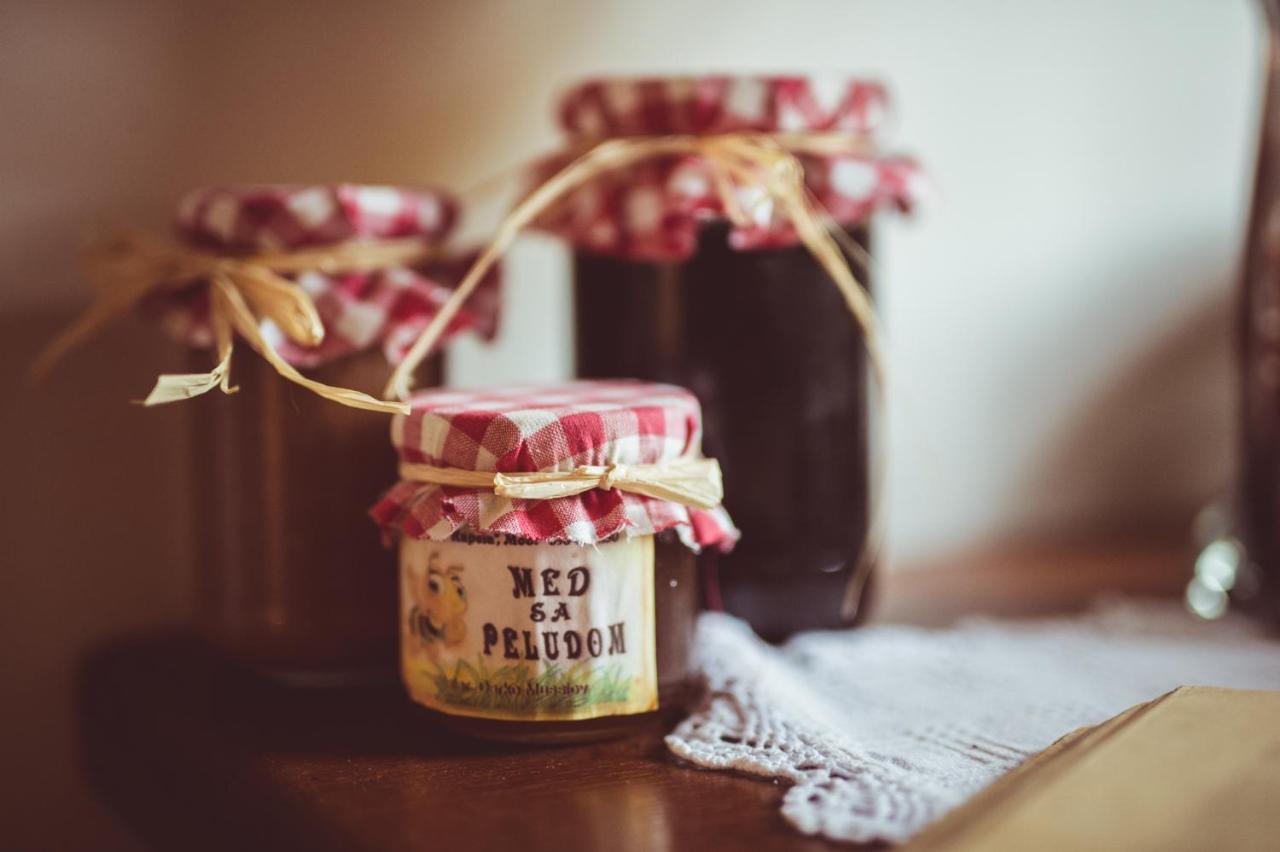 Pensjonat Country House Tunjina Kuca Stara Kapela Pavlovci Zewnętrze zdjęcie
